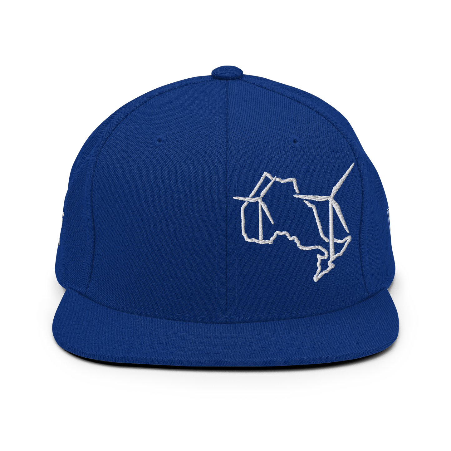 Ontario Wind Snapback Hat