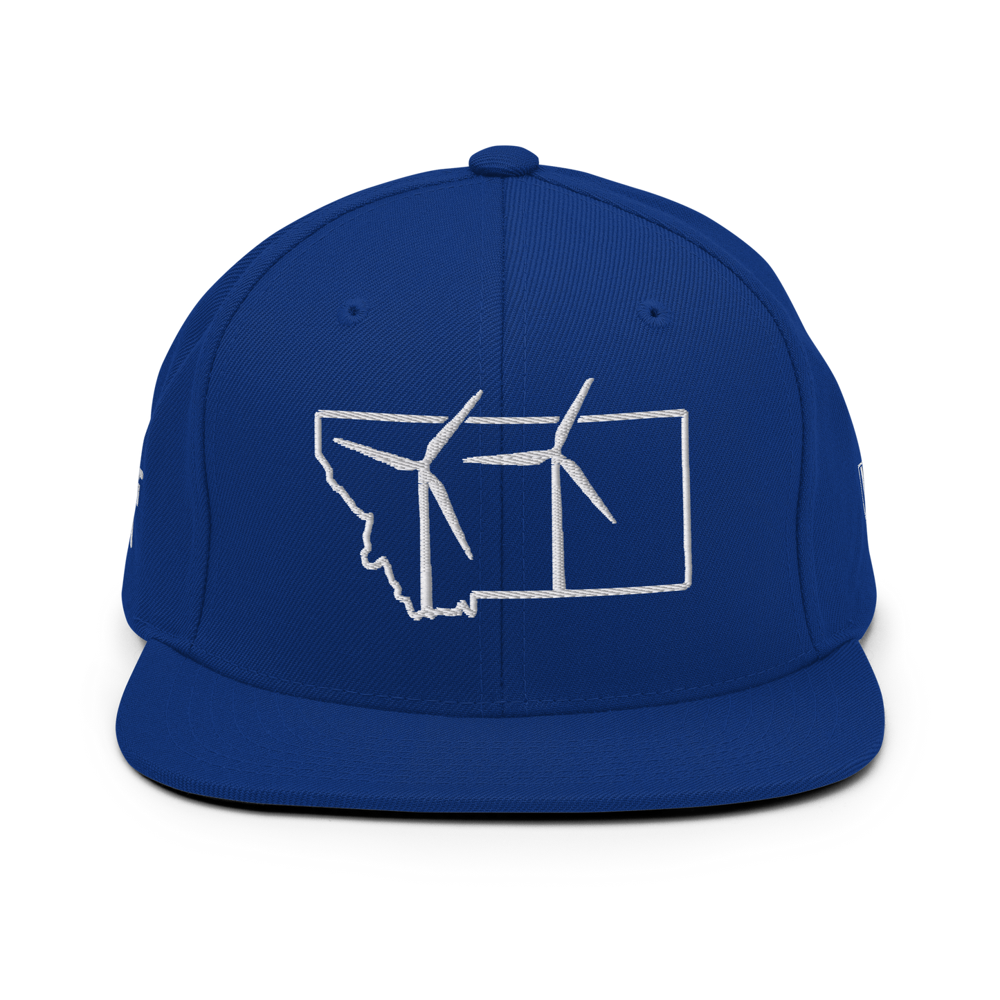 Montana Wind Snapback Hat