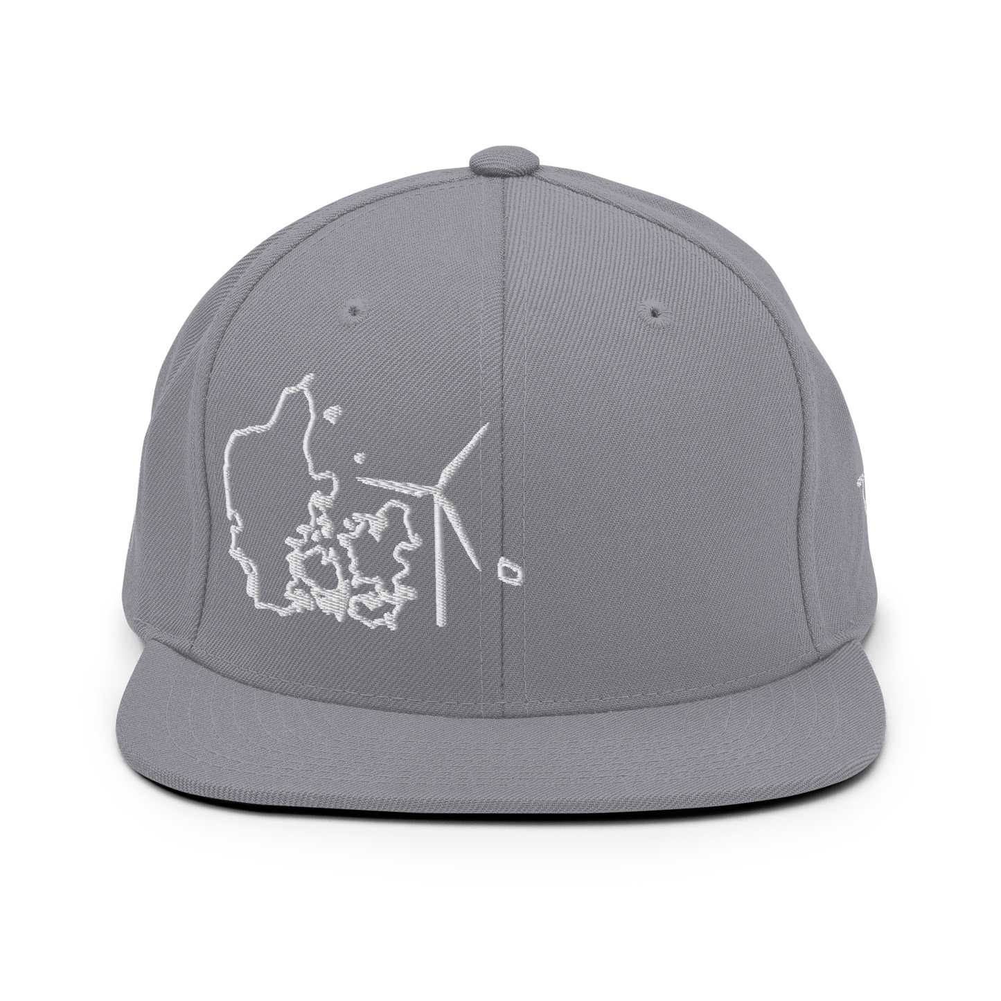 Denmark Wind Snapback Hat