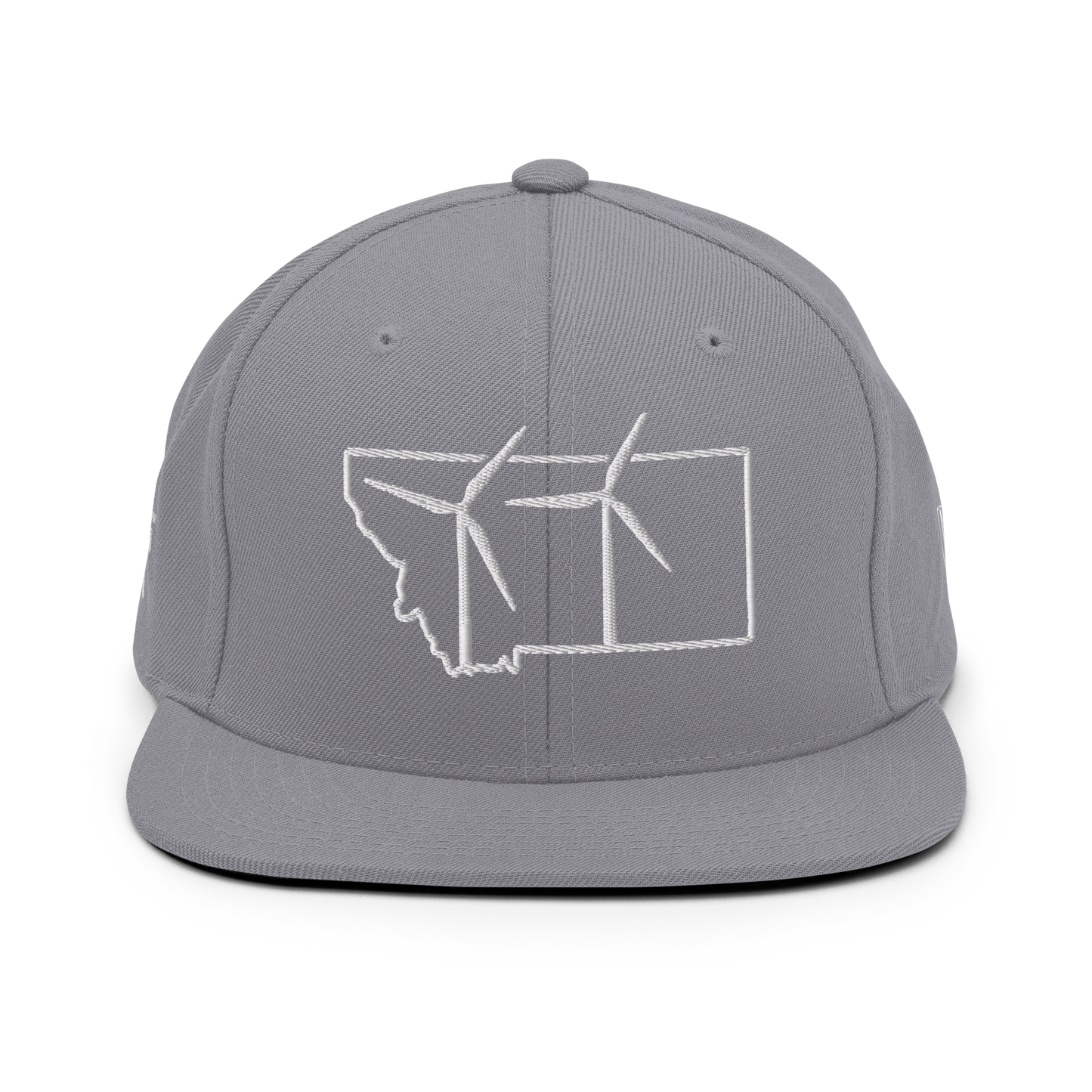 Montana Wind Snapback Hat