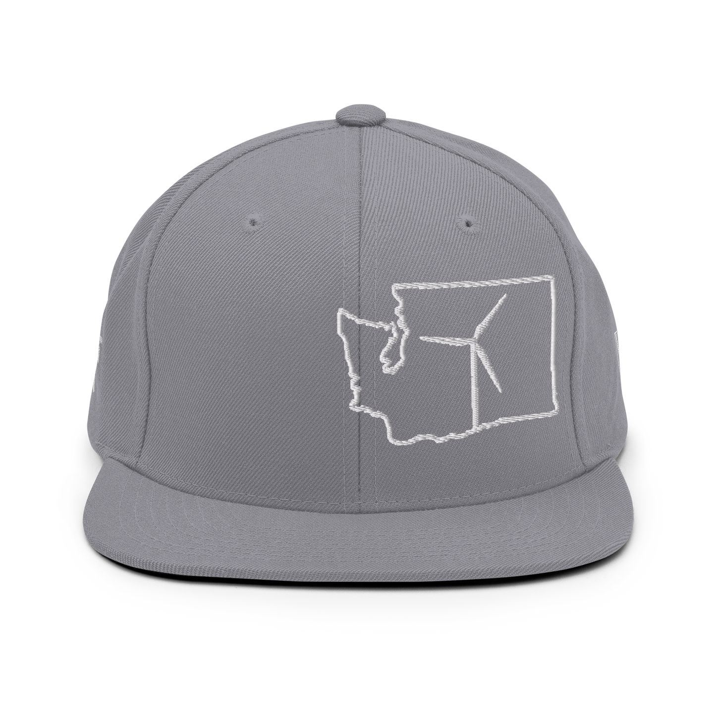Washington Wind Snapback Hat
