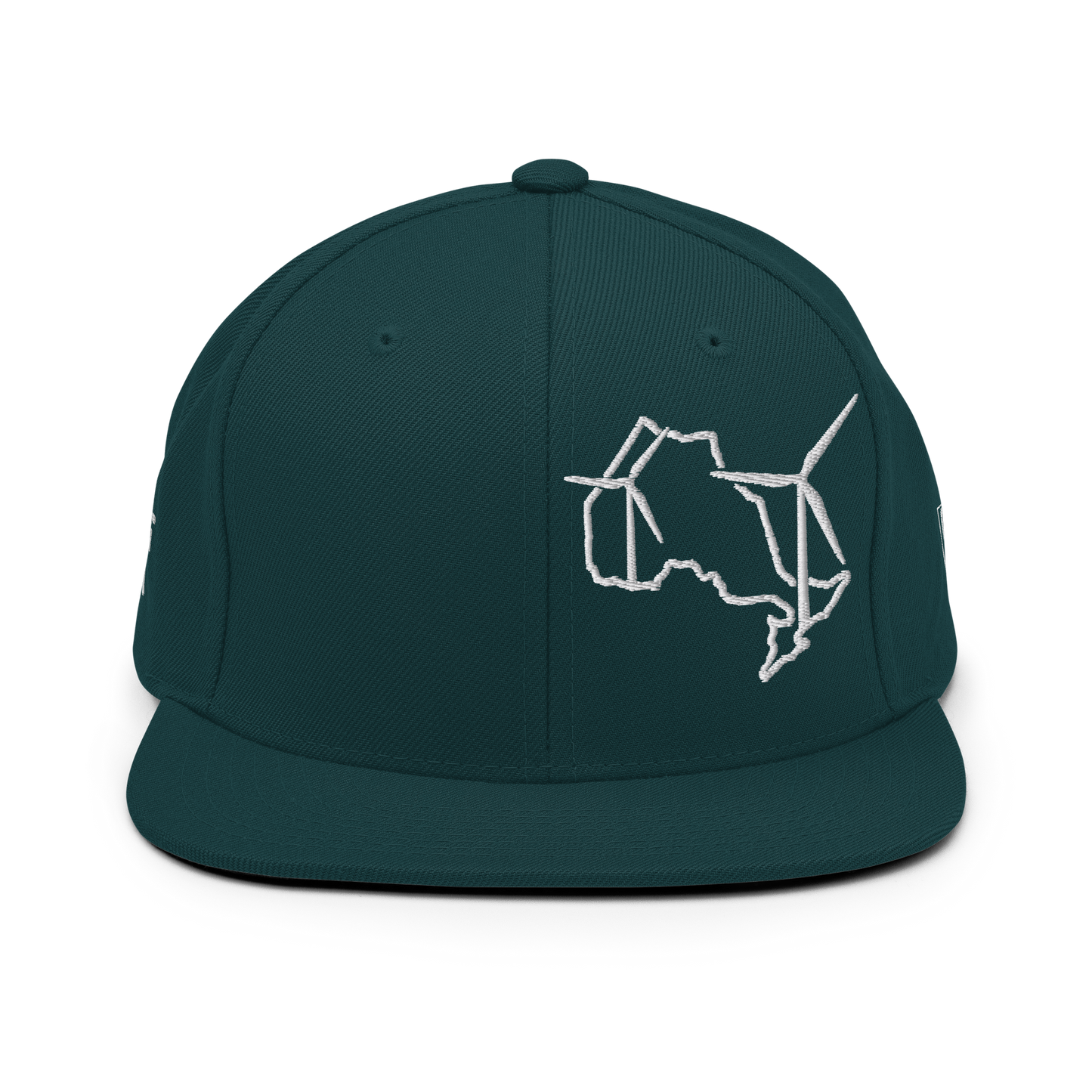 Ontario Wind Snapback Hat