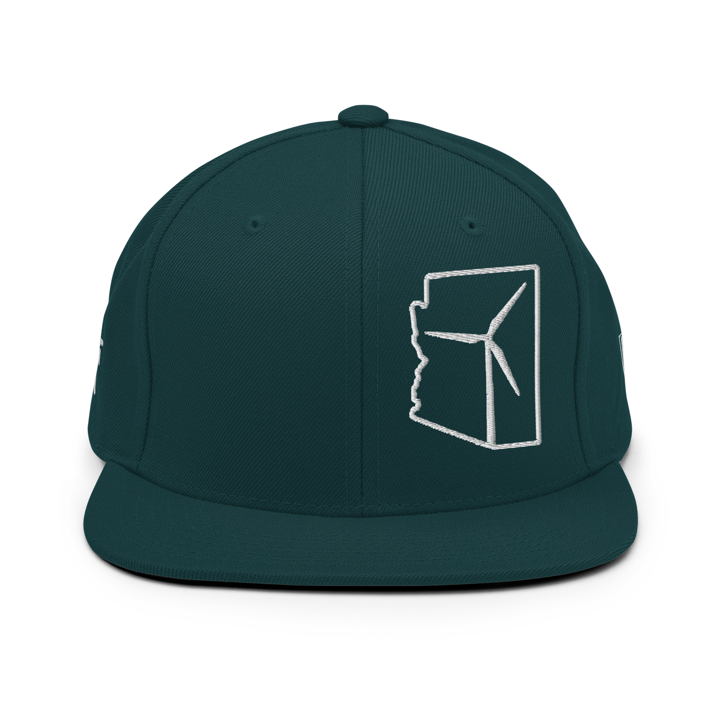 Arizona Wind Snapback Hat