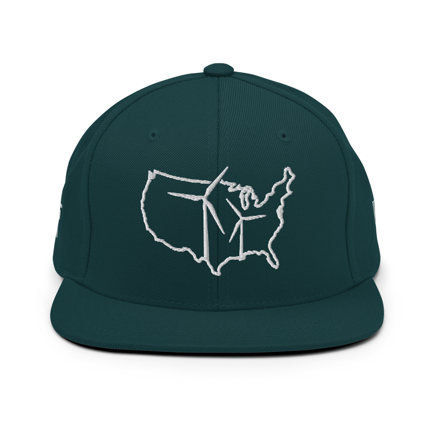 USA Wind Snapback Hat