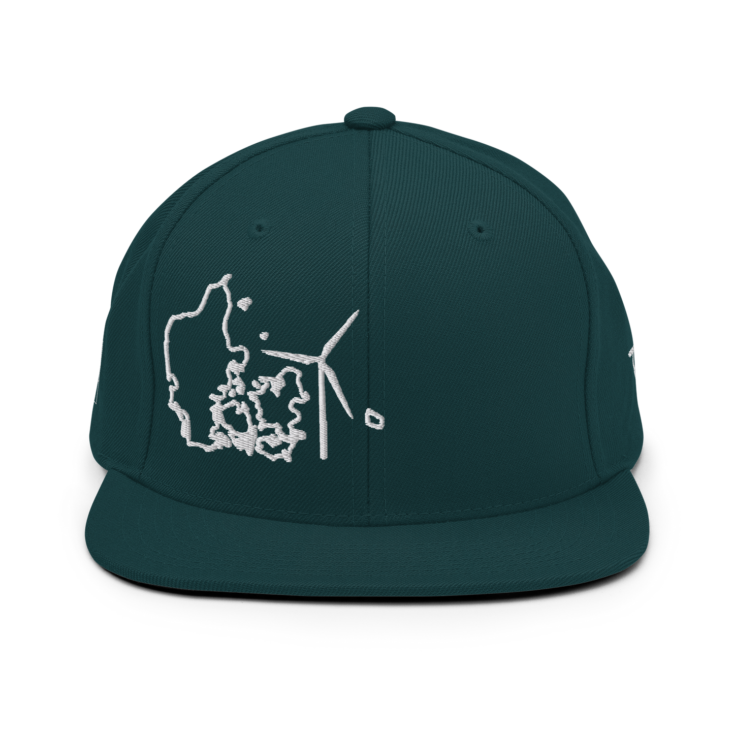 Denmark Wind Snapback Hat