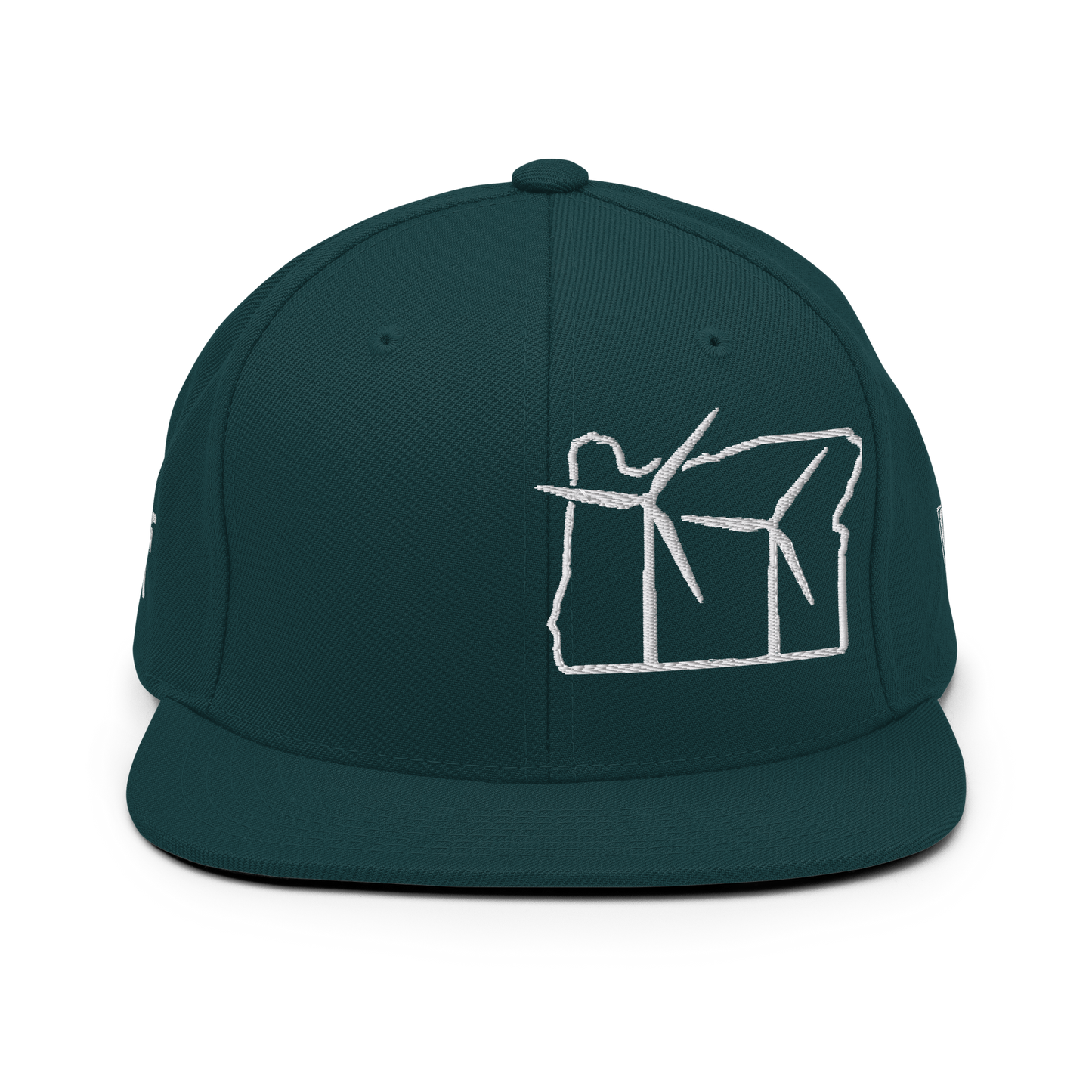 Oregon Wind Snapback Hat