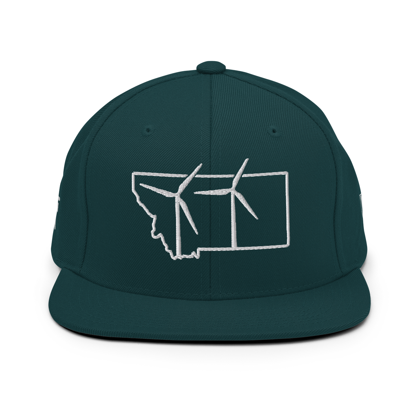 Montana Wind Snapback Hat