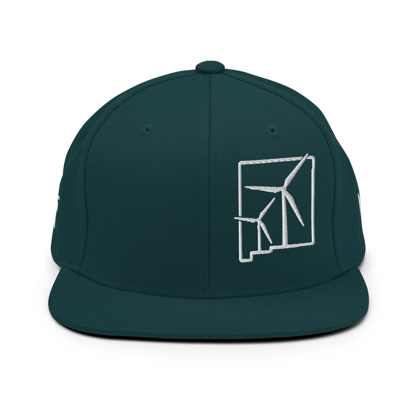 New Mexico Wind Snapback Hat