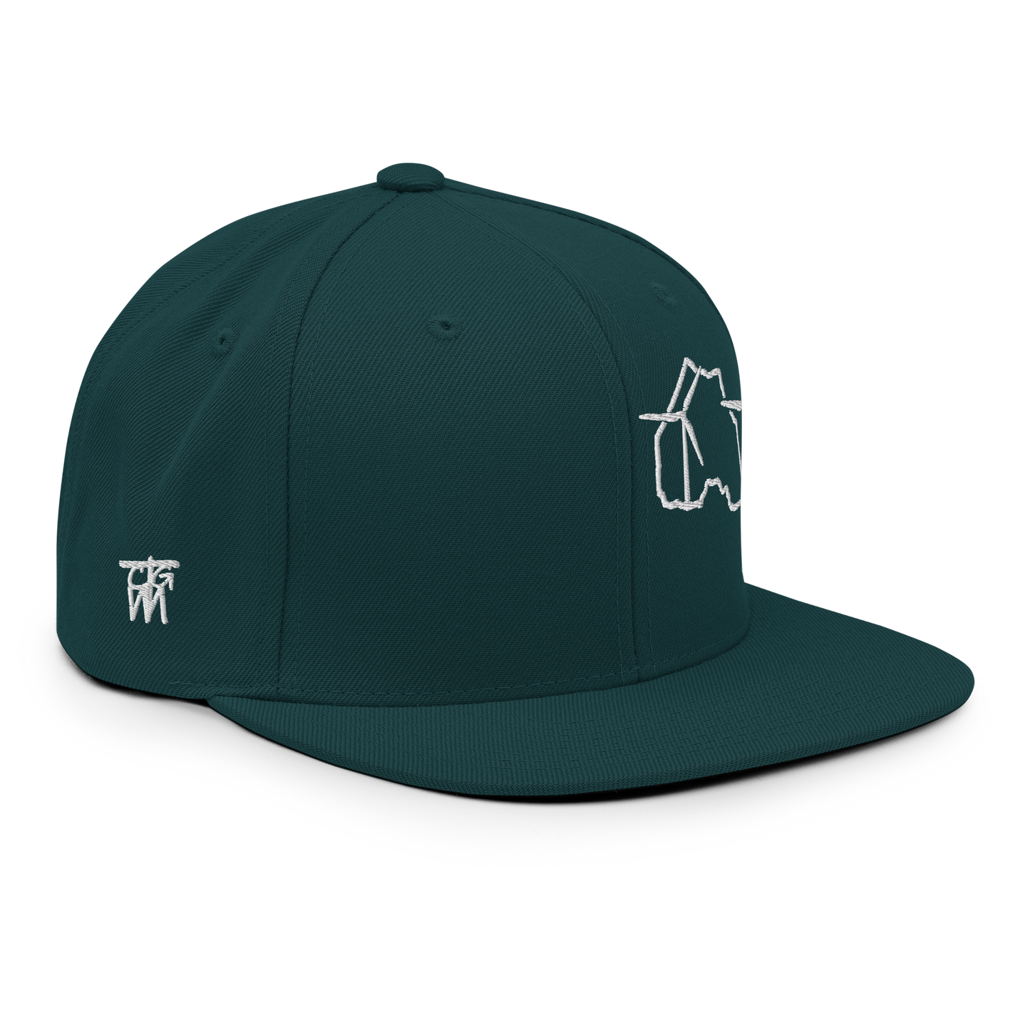 Ontario Wind Snapback Hat