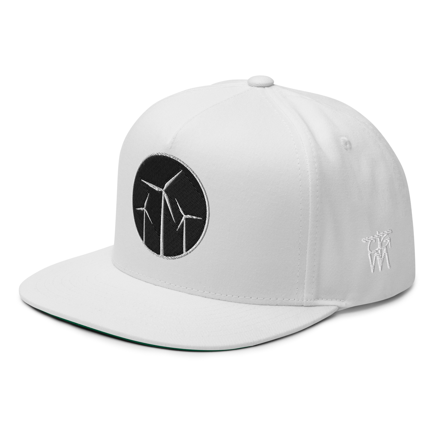 Wind Patch Flat Bill Cap
