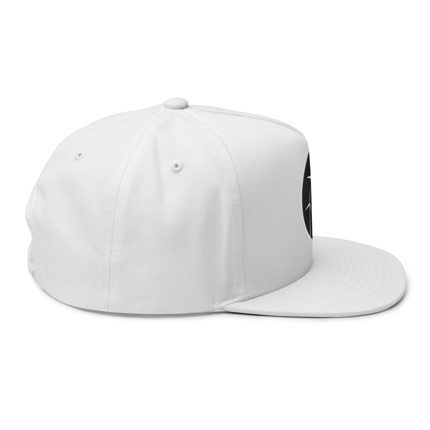 Wind Patch Flat Bill Cap