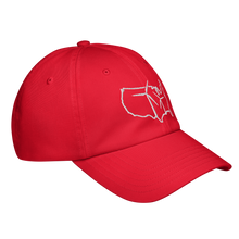 USA Wind Under Armour® dad hat