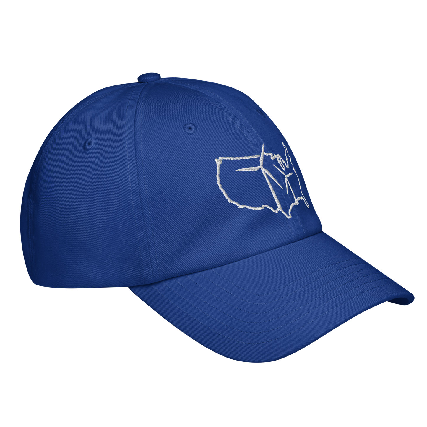 USA Wind Under Armour® dad hat